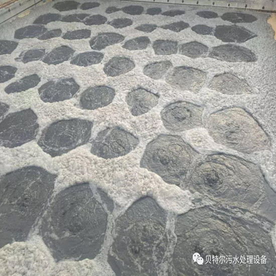 山東貝特環保出口設備成功運行！